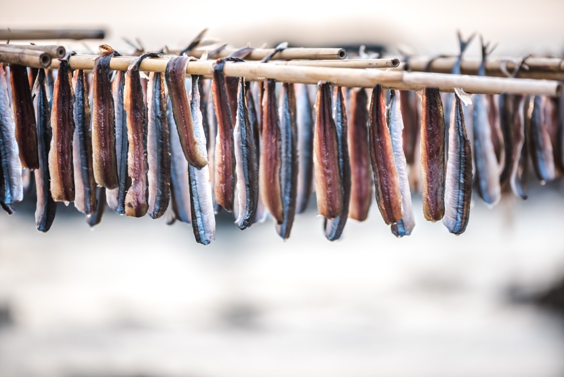 [음식효능]  겨울이 찾아 왔다…과메기 맛있게 먹는 Tip + 다양한 효능까지