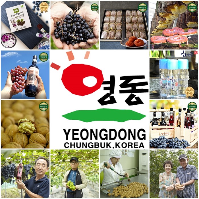 충북 영동군 로컬푸드 협동조합, 온라인 홈페이지서 우리 농산물 알려