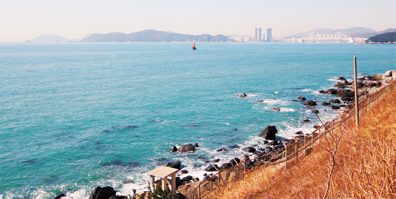 익숙한 남자와             낯선 부산 산책