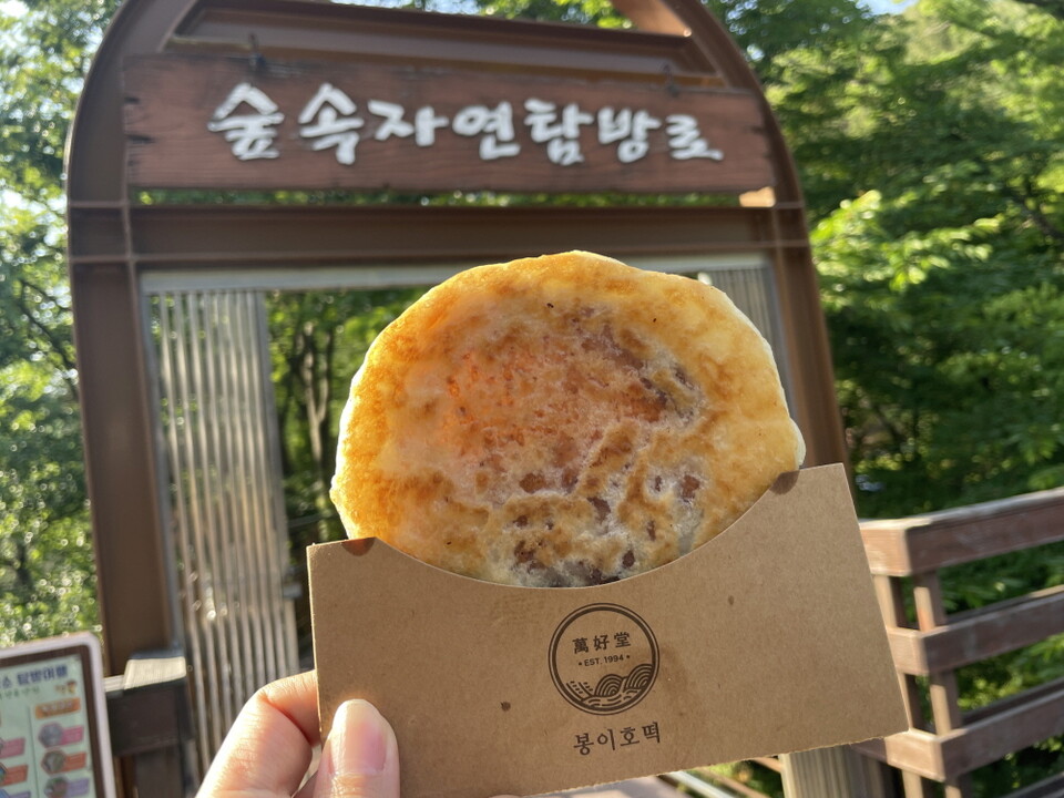 내 맘대로 즐긴다, 대전 동구 온 관광택시