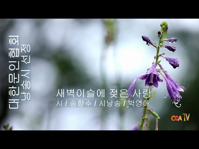 [詩가 있는 아침] 새벽이슬에 젖은 사랑
