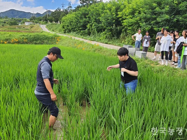 대학생, 농활로 농민의 발걸음에 다가가다