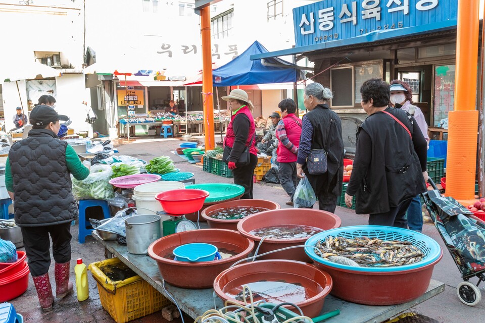 [오일장을 맛보다㊾] 도화난만한 시절에 청도오일장 가기