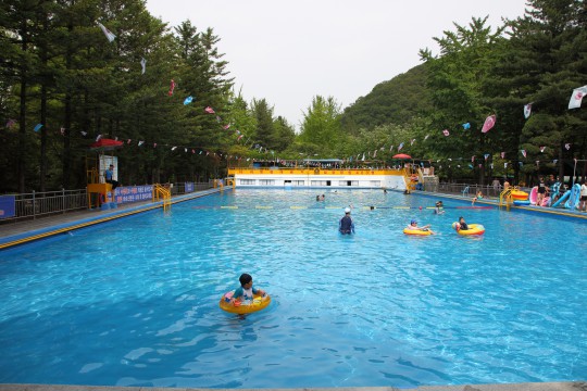 [주말 아이와 함께 가볼만한 곳]울창한 숲 속 수영장 광주 금원 수목원 수영장