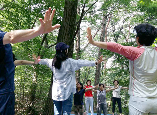 [힐링하기에 좋은 곳 베스트⑥] 인위적인 휴양림 NO! 자연그대로의 공간 용인자연휴양림