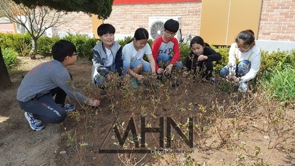 축산항초등학교, 봄꽃 심기 행사 꽃 소중히 여겨요