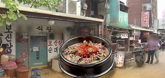 초복 앞두고 개고기 식용 논란, 찬반 대립