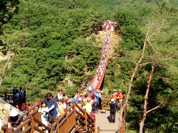 [파주 가볼만한 곳] 파주 감악산 출렁다리, 누적 방문객 수 170만 명 돌파