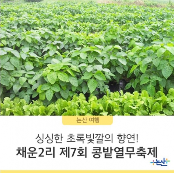 [논산 가볼만한 곳] 제7회 콩밭열무축제 오는 9일 개최