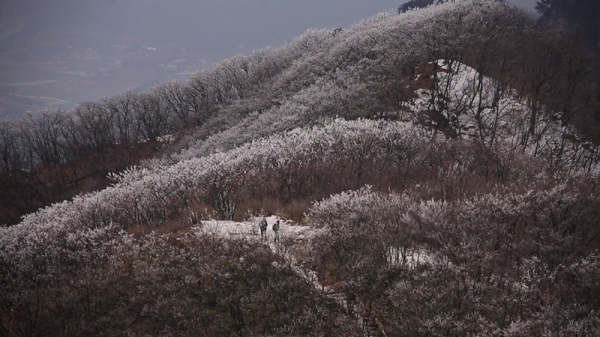 [KBS 영상앨범 산] 한반도의 중심부 강원도 원주 보은의 산 치악산