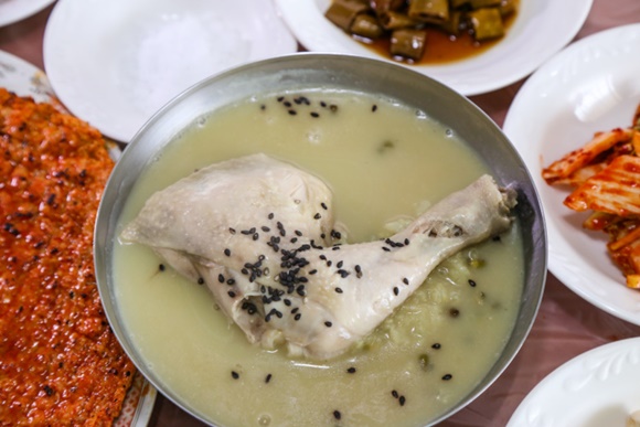 SBS 생방송 투데이 오늘 방송 맛집은? 송어찜, 백숙, 대게, 몸국 소개