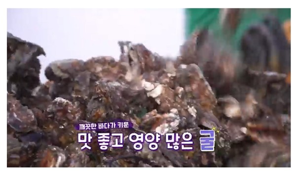 [KBS 6시 내고향] 태안 달래, 고흥 굴, 부산 복국 소개