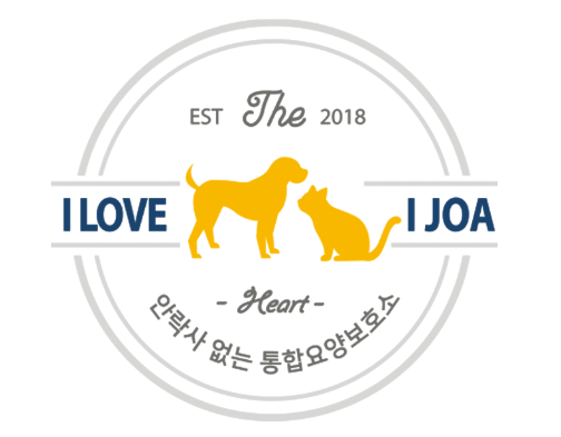 아이조아 요양보호소, 입양 가족에게 한정판 캘린더 굿즈 전달