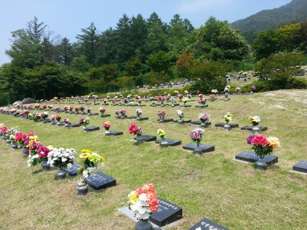 함양군 공설공원묘지로 하늘공원 검토에 반발