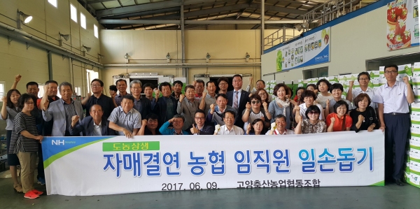 고양축산농협 임직원 하동서 매실농가 일손도와