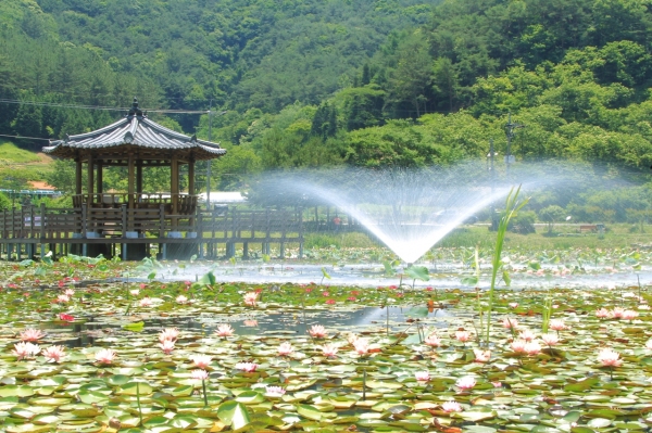 고성군 상리연꽃공원 연못 분수 설치