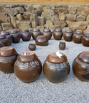 전통발효식품의 세계화…슬로푸드에 답 있다
