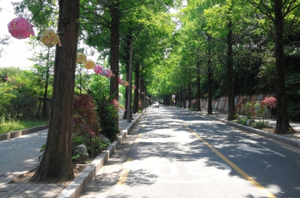 창원 용지동 가로수 길에서 문화감성 충전하세요