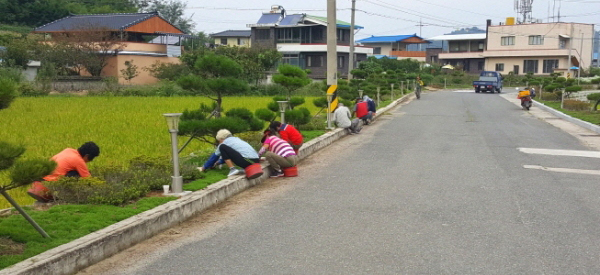 합천 율곡면 환경정화활동 펼쳐