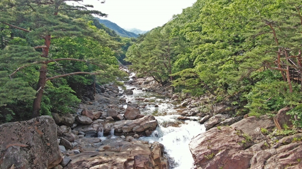 무더운 여름, 산청 지리산 계곡으로 오세요