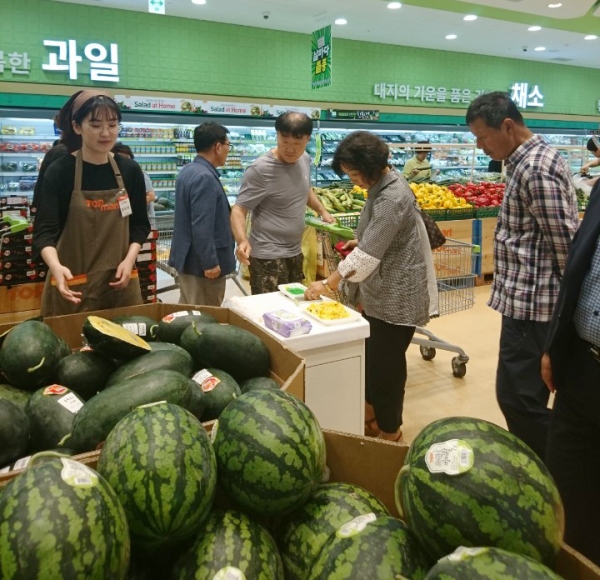 함안군 중·소과종 수박 본격 출하