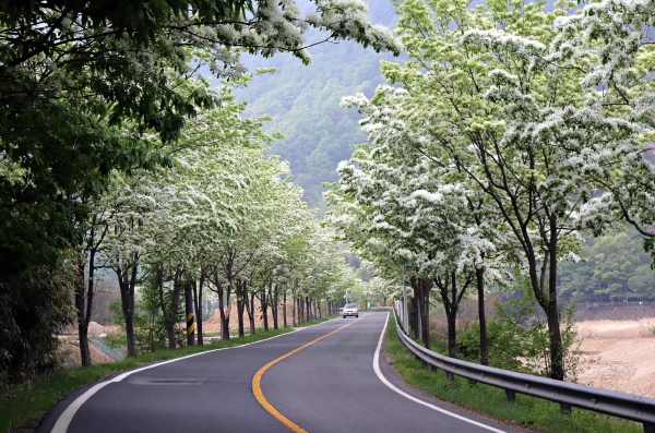 경남도 드라이브 스루 여행코스 13선 추천