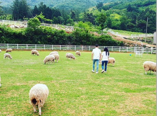 경남도, 산지생태축산농장 지정 신규 3개소 추가확정