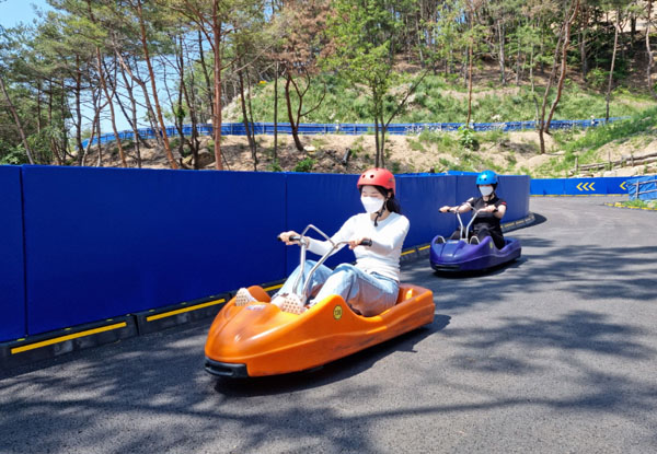 자연과 함께 숲속서 즐긴다 합천 루지
