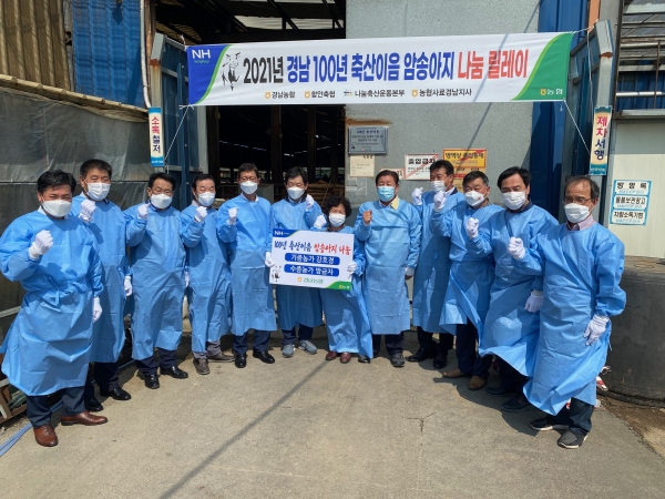 함안축산농협, 100년 축산이음, 암송아지기부 릴레이 참여