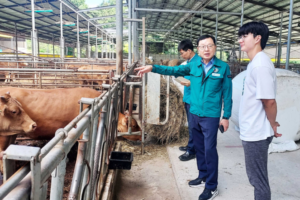 함양군 축산분야 폭염 대응·피해 최소화 집중