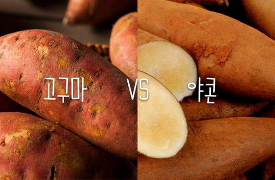 [리얼푸드][푸드파이트]‘전통의 다이어트 식품’ 고구마 vs ‘떠오르는 샛별’ 야콘