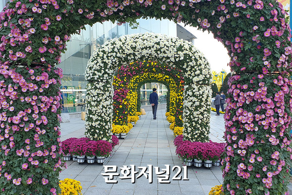 도심 속 힐링 꽃 축제, ‘양재플라워페스타’ 21일 개막