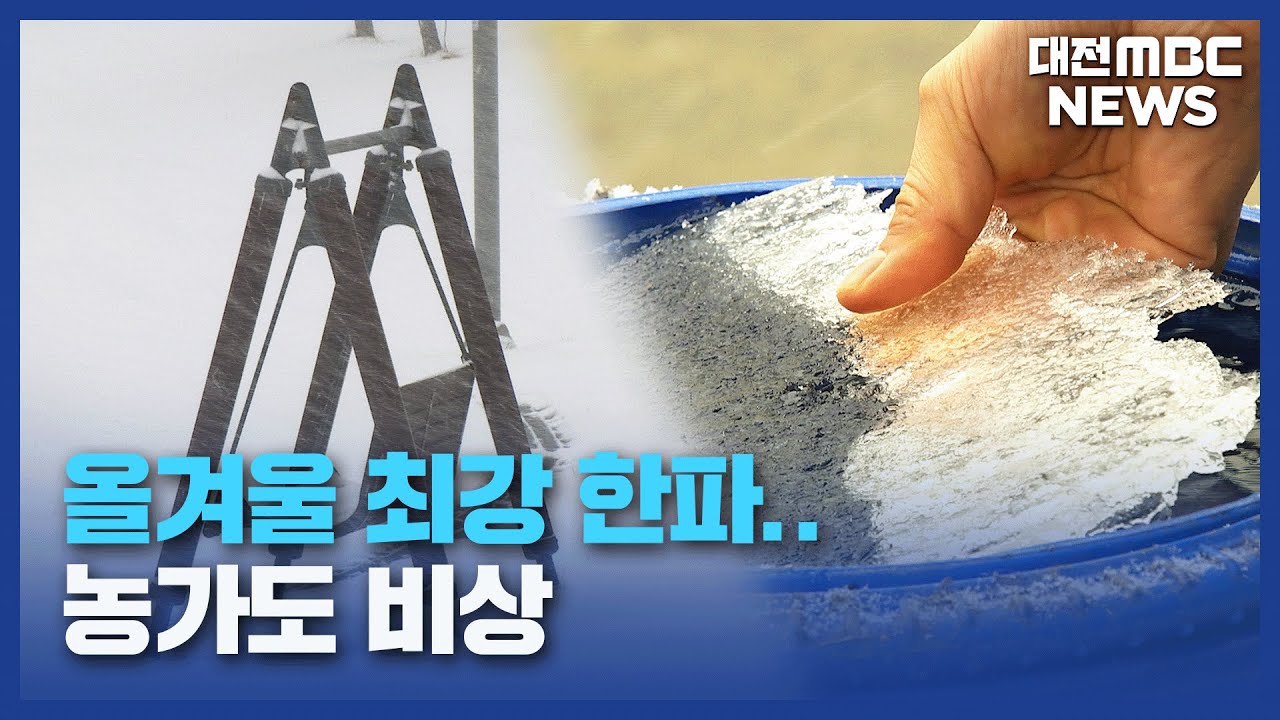 올겨울 최강 한파..농가도 비상/데스크