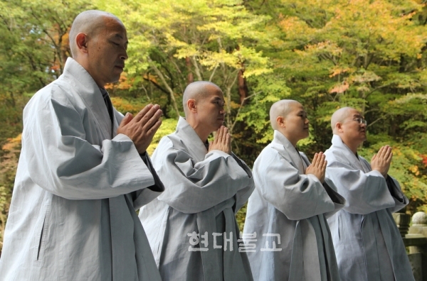 힐링의 섬 제주서 행복 바이러스에 감염되다