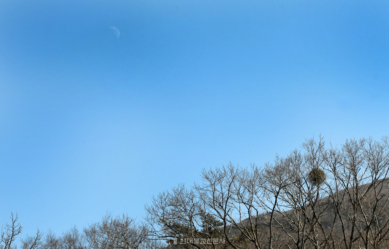 시간이 삶