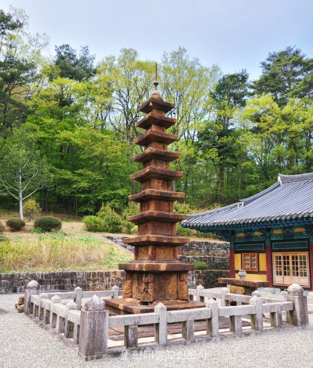 [현대인을 위한 선의 지혜] 15. 본래 부처라는데 왜 화두가 필요한가?