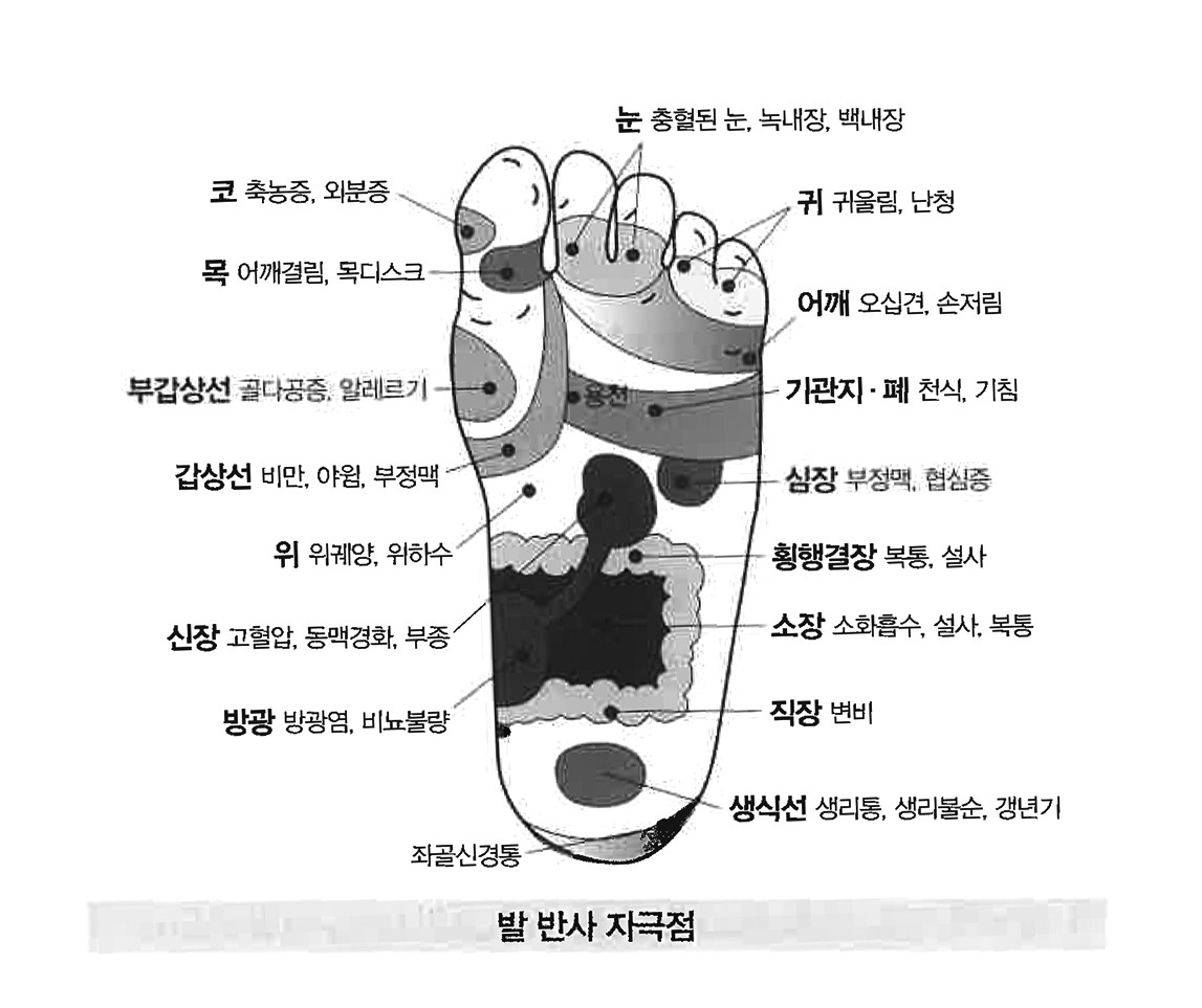 [홍재화의 걷기 삼매경] 발마사지로 온몸 건강 돌본다 