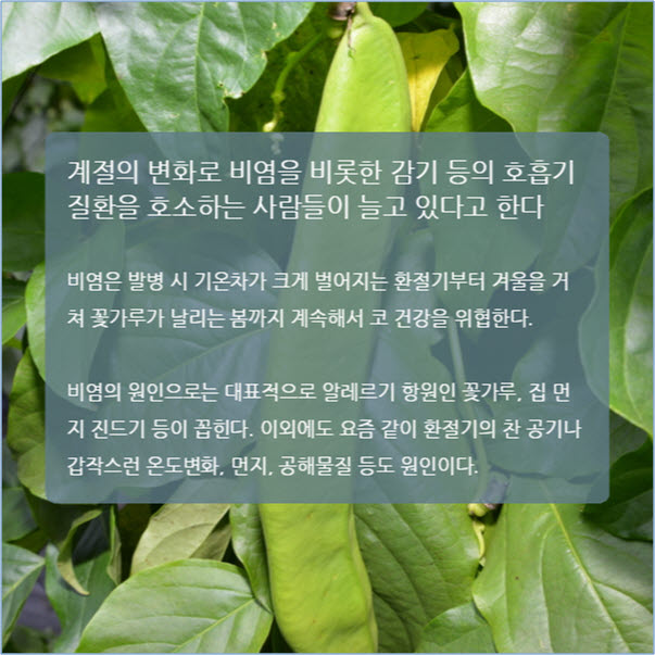 문경칠봉산농원, 무농약 작두콩차 출시