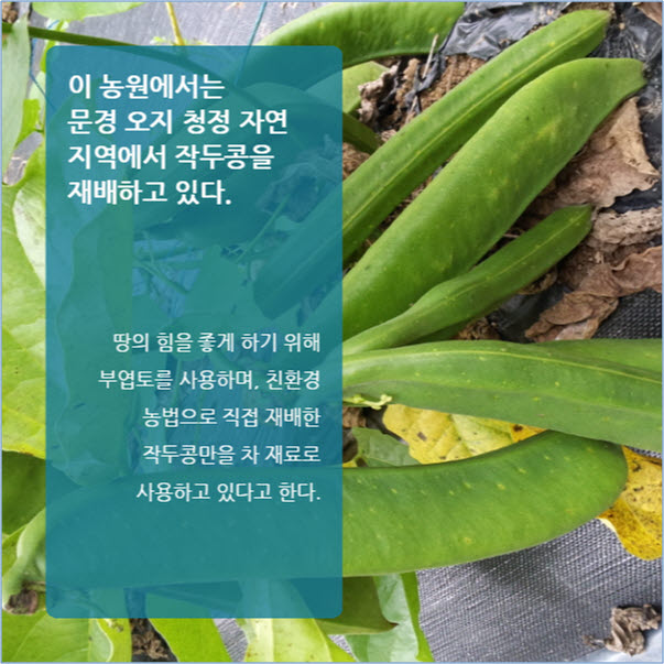 문경칠봉산농원, 무농약 작두콩차 출시