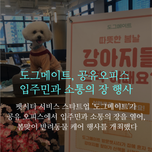 스타트업 펫시터 브랜드 도그메이트, 공유오피스 입주민과 소통의 장 행사 진행