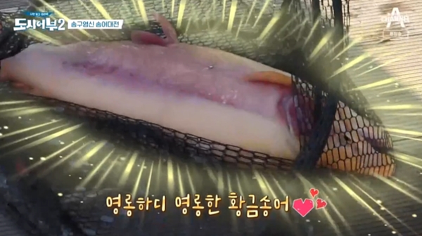 단 3마리 황금송어...도시어부 송어낚시터, 위치는 어디?
