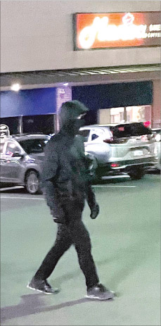애난데일 연쇄 차량털이범 포착됐다
