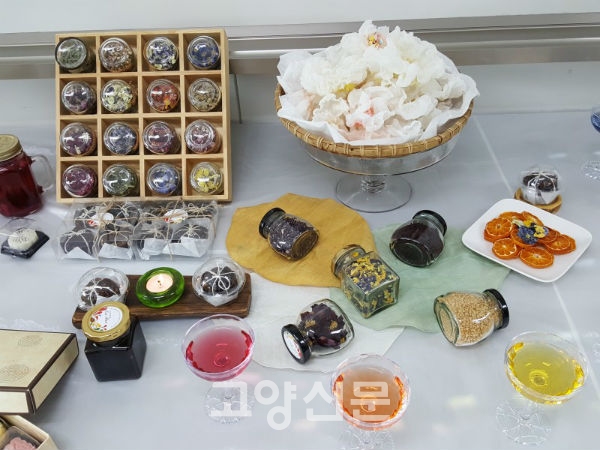 자격과정에서 취미프로그램까지 다양