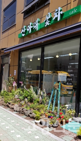 야생초 키우며 꽃차 연구