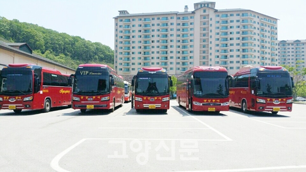 10대였던 버스가 120대로···이웃 돌보며 씽씽 달립니다