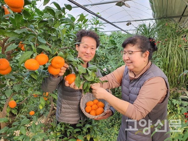식물과 교감하는 고양시 1호 농촌치유농장