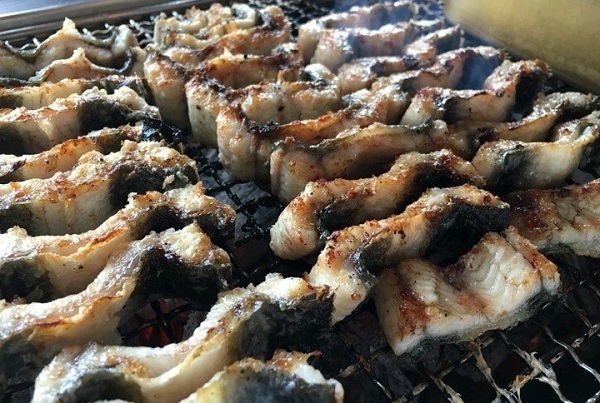 쫄깃하고 고소한 국내산 장어 장어가