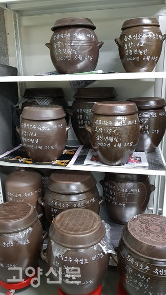 고양 첫 프리미엄 지역특산주 냥이탁주 드셔보셨나요?