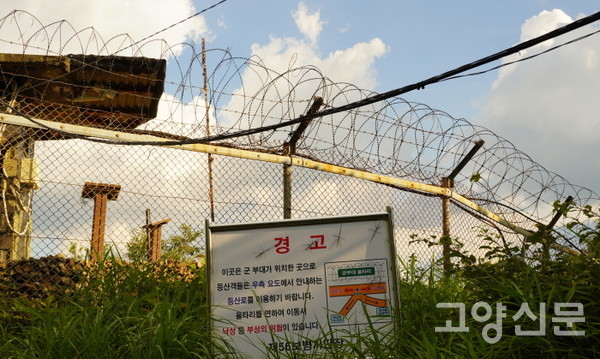 시원한 나무 그늘, 부드러운 흙의 촉감… 무념무상에 빠져드는 오송산 힐링 숲길