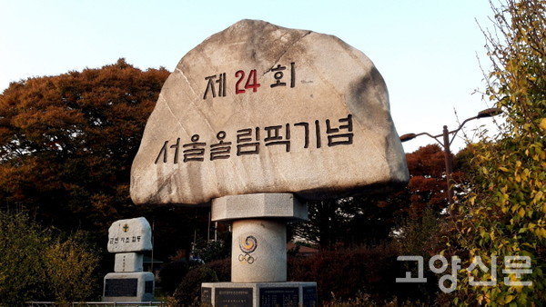 대자산 숲길에 펼쳐진 낙엽 잔치, 600살 은행나무가 들려주는 옛이야기